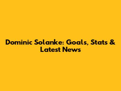 Dominic Solanke: Goals, Stats & Latest News