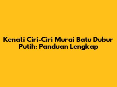 Kenali Ciri-Ciri Murai Batu Dubur Putih: Panduan Lengkap