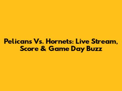 Pelicans Vs. Hornets: Live Stream, Score & Game Day Buzz