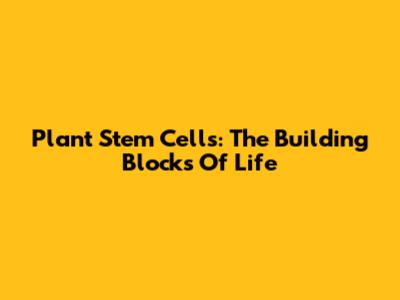 Plant Stem Cells: The Building Blocks Of Life